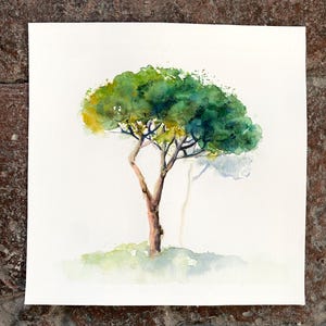 Piccola opera d'arte incorniciata, dipinto ad acquerello originale, mini albero di pino, decorazione per la casa, festa della mamma, regalo per l'ospite