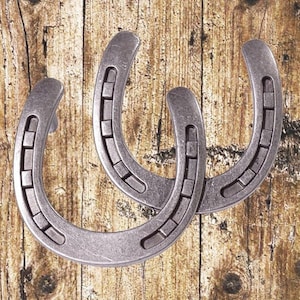 Western Horseshoe Old Silver Double Drawer Pull