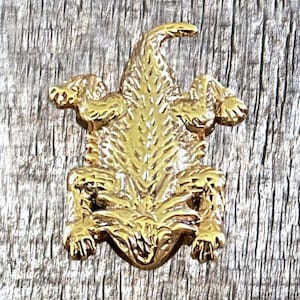 Conchos di lucertola cornuta del Texas e rospo cornuto