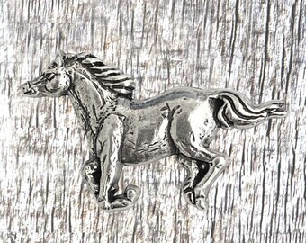 Horse Western Concho