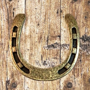 Western Horseshoe Antique Brass Cabinet Knob
