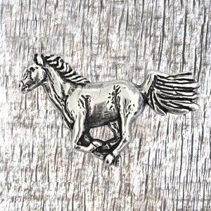 Horse Western Concho
