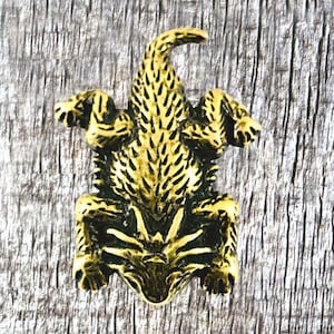 Conchos di lucertola cornuta del Texas e rospo cornuto