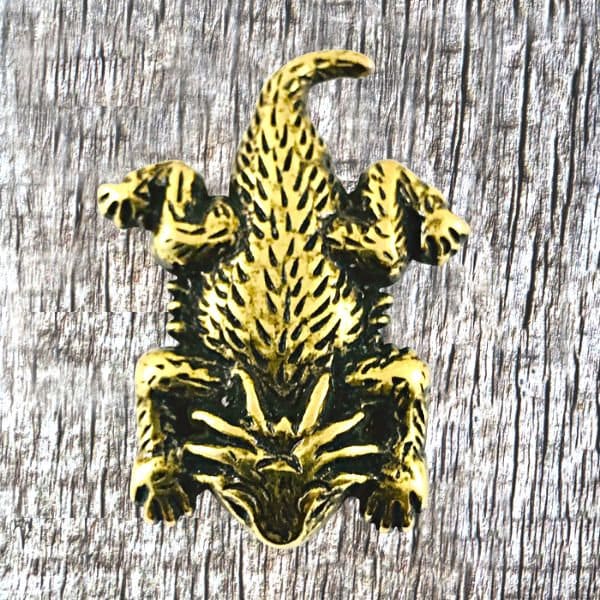 Texas Horned Lizard Horned Toad Conchos