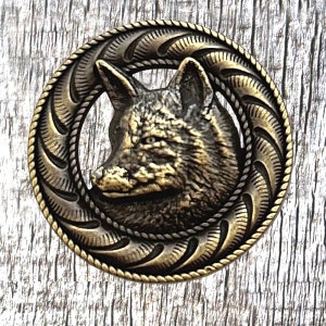 Animal Wildlife Fox