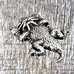 Conchos di lucertola cornuta del Texas e rospo cornuto
