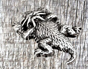 Texas Horned Lizard Horned Toad Conchos
