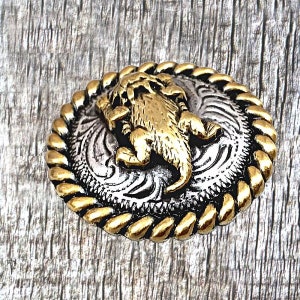 Conchos di lucertola cornuta del Texas e rospo cornuto