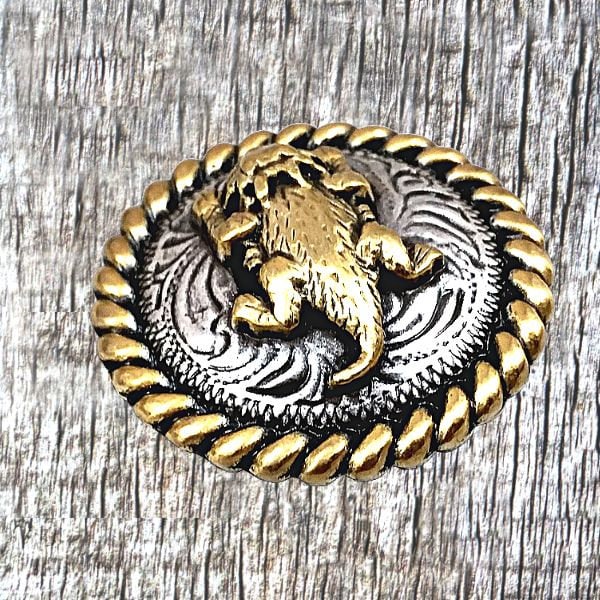 Texas Horned Lizard Horned Toad Conchos