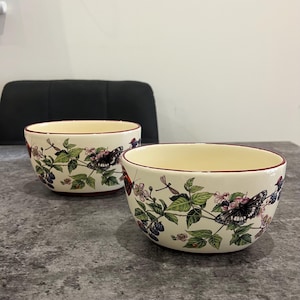 May include: Two cream-colored ceramic bowls with a floral and butterfly design. The bowls have a red rim and a light yellow interior. The design includes green leaves, pink flowers, and black butterflies. The bowls are on a gray surface.