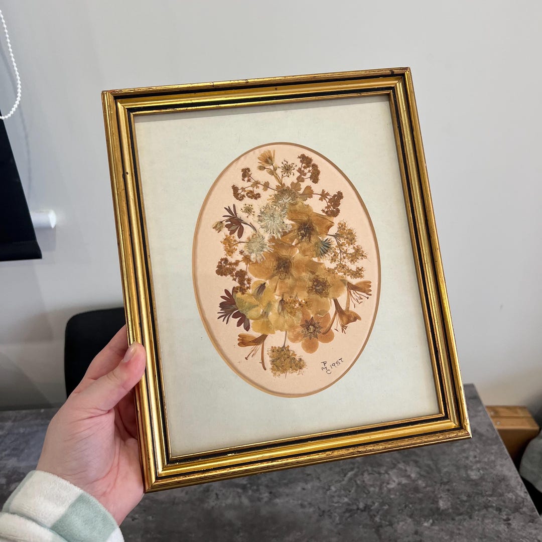 Vintage Pressed Flower Arrangement Art Floral Framed Botanical - Etsy