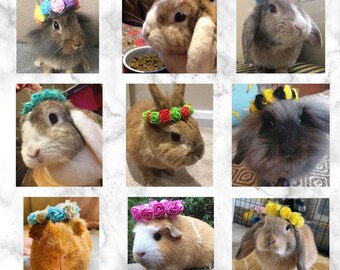 Pet flower crown