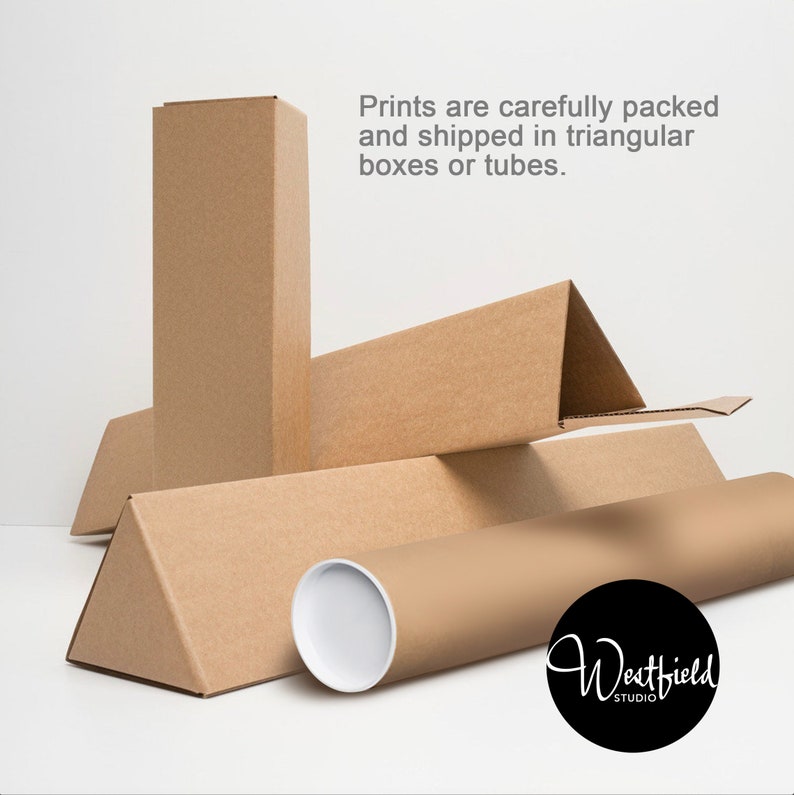 May include: Close-up of three cardboard boxes and a cardboard tube. The boxes are brown and have a triangular shape. The tube is brown and has a white cap. The text "Westfield Studio" is printed on the tube.