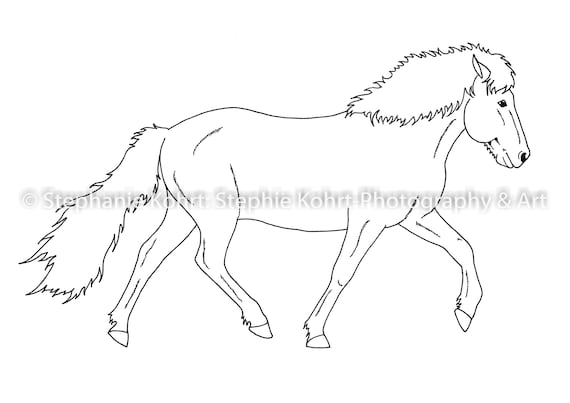 icelandic horses coloring pages pdf download etsy canada produits marqueurs de tissu lumineux coloriages