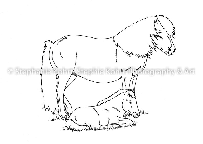 Icelandic Horses Coloring Pages (pdf Download) Etsy