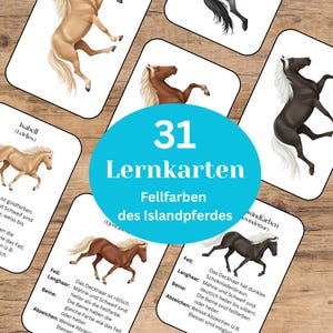 Op de afbeelding: Een verzameling van 31 flashcards met illustraties van IJslandse paarden in verschillende kleuren. De kaarten hebben Duitse tekst, met een blauwe cirkel in het midden met de tekst "31 Lernkarten Fellfarben des Islandpferdes".