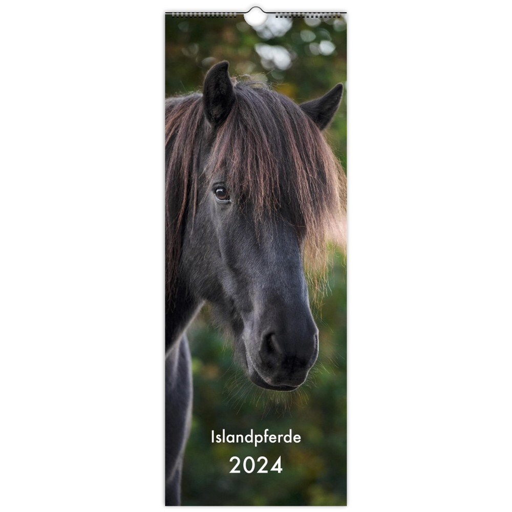 Icelandic Horse Calendar 2024 Etsy