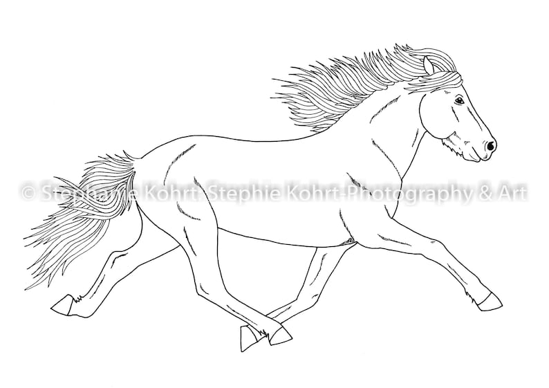 Icelandic Horses Coloring Pages (pdf Download) - Etsy