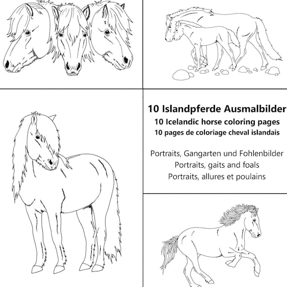 icelandic horses coloring pages pdf download
