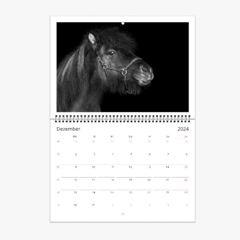Icelandic Horse Calendar 20242025 Morna Tiertza