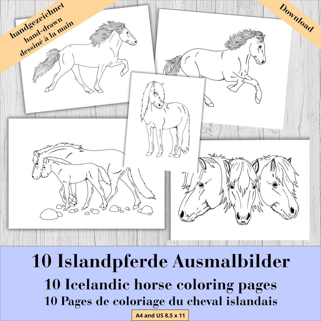 10 Hand painted Icelandic Horse Coloring Pages PDF Download Horse 10-hand-painted-icelandic-horse-coloring-pages-pdf-download-horse