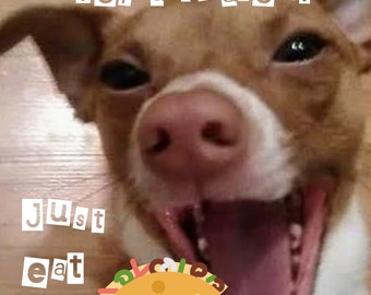 Red Nosed Chihuahua Terrier Laughing Photo Blank Greeting Card or Custom Design