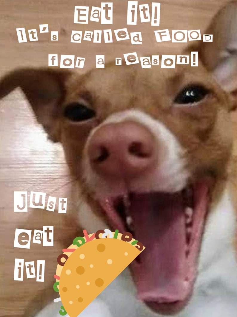 Red Nosed Chihuahua Terrier Laughing Photo Blank Greeting Card or Custom Design
