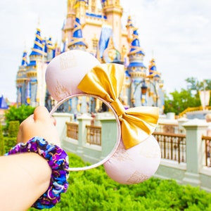Castle Mouse Ears