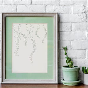 Hanging Vines, Digital Print, Plant, Wall Decor, Vine Wall Art, Printable Art