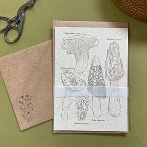 Carte de champignon botanique | Carte postale en papier recyclé | Mini tirage d’art