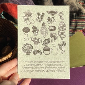 Carte de champignon d'étude botanique | Carte postale en papier recyclé | Mini-impression artistique