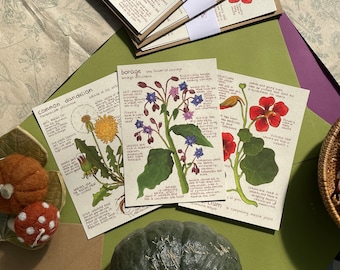 Edible flowers postcard set | Botanical Information Card | Recycled Paper Postcard | Mini Art Print | Botanical Study of edible flowers
