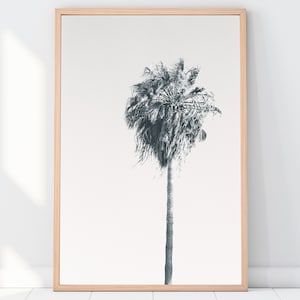 Palm Tree Photo, California, Travel Photography, Wall Art, Home Decor, Cali Palms, Palm Trees, Film, Film Photography, Art, California Gifts