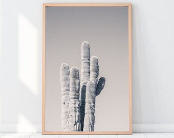 Arizona Desert Print, Desert Landscape, Black and White Saguaro Cactus Print, Desert Photography, Print for Framing