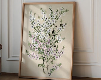 Neutral Botanical Print, Flower Art Print, Vintage Floral Gallery Wall Art, Vintage Floral Print, Contemporary Print, Botanical Prin