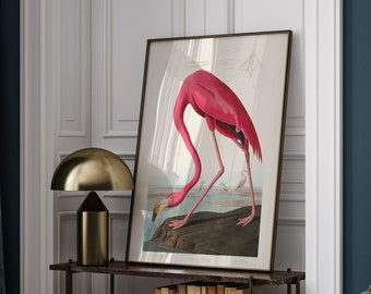 Pink Flamingo Vintage Art Print, Ilustración de pájaro antiguo, Minimalista Neutral Wall Art Print, Regalo para mamá, Decoración escandinava, Arte moderno
