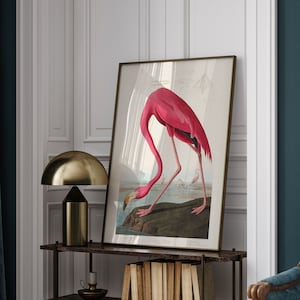Pink Flamingo Vintage Art Print, Antique Bird Illustration, Minimalist Neutral Wall Art Print, Gift for mum, Scandinavian decor, Modern Art