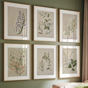Set of 6 Botanical Print, Set of 6 Vintage Prints, Set of 6 botanical Fern Prints, Modern Flower wall art, Gift print, Home Decor print