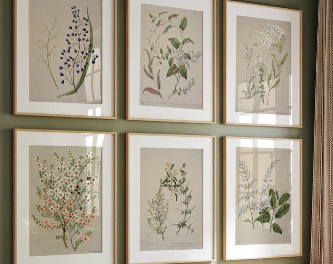 Set of Six Vintage Wildflower Floral Art Prints - Set of 6 Flower ...