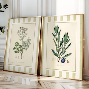 以下が含まれることがあります： 2つの額入り植物画。1つは開花植物、もう1つはオリーブの実が付いたオリーブの枝を描いています。どちらもクリーム色の背景、金色のフレーム、緑と白のストライプのボーダーです。キッチンやダイニングルームに最適です。