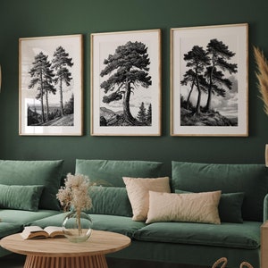 Vintage Baum Skizze Set von 3 Wanddruck, Walddruck, Antike Baum Zeichnungen, Botanische Kunst, Bauernhaus Kunst Set, Natur Skizze Plakat