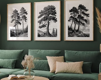 Vintage Baum Skizze Set von 3 Wanddruck, Walddruck, Antike Baum Zeichnungen, Botanische Kunst, Bauernhaus Kunst Set, Natur Skizze Plakat