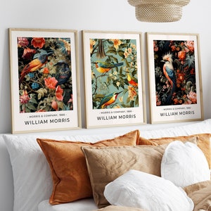 SET DI 3 poster William Morris, stampa William Morris, arte della parete William Morris, poster vintage, stampa uccello, Morris Home Decor, Idea regalo