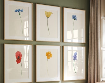 Aquarel botanische print set van 6, vintage print, set van 6 botanische varenafdrukken, kunst aan de muur galerij, modern interieur kunst, wilde bloemen kunst