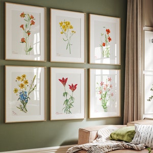 Set von 6 Botanischen Drucken, Vintage Drucke, Set von botanischen Blumen Drucke, Moderne Blumen Druck Set, Geschenk Druck, Wohndekor Druck