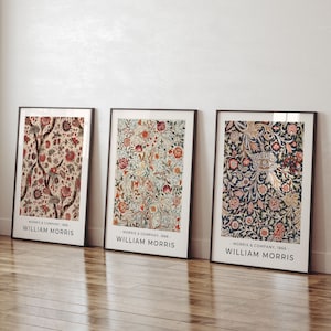 CONJUNTO DE 3 carteles de William Morris, impresión de William Morris, arte de pared de William Morris, cartel vintage, impresión floral, decoración de arte de pared de Morris