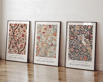 CONJUNTO DE 3 carteles de William Morris, impresión de William Morris, arte de pared de William Morris, cartel vintage, impresión floral, decoración de arte de pared de Morris
