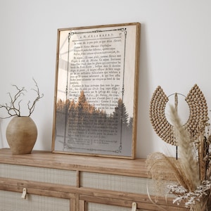 Stampa foresta su carta da libro vintage, stampa poster alla moda, stampa minimalista, arte della parete alla moda, idea regalo di compleanno, arredamento della parete della camera da letto, foresta