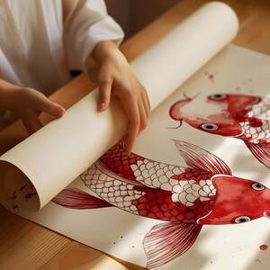 May include: A white sheet of paper with two red and white koi fish drawn on it. The fish are detailed with scales and fins. A person is rolling up the paper, revealing the fish.