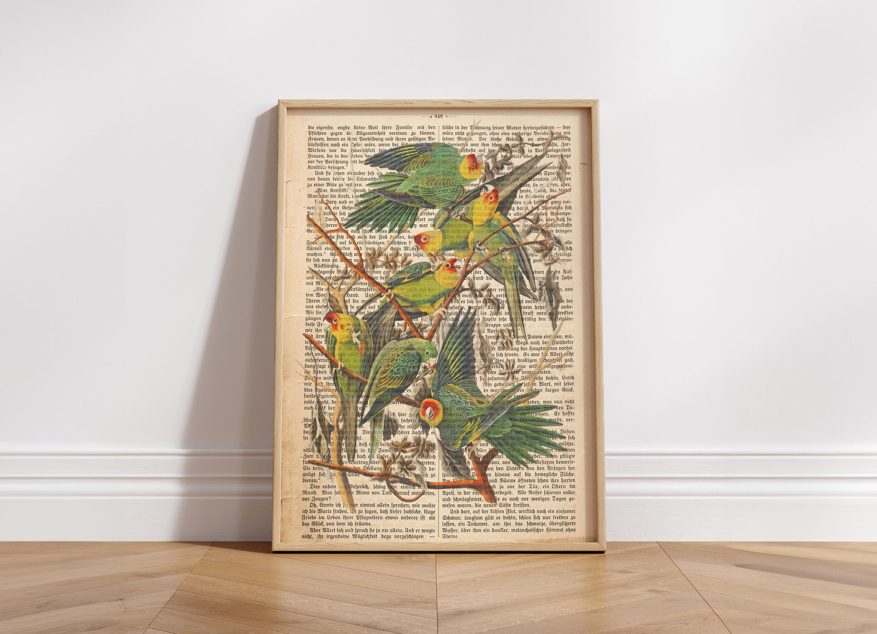 Set of 6 Bird Prints on Old Antique Book Page, Gift Idea Print, Home Decor  Print, Living Room Wall Art, Garden Birds Poster, Bird Decor - Etsy Israel